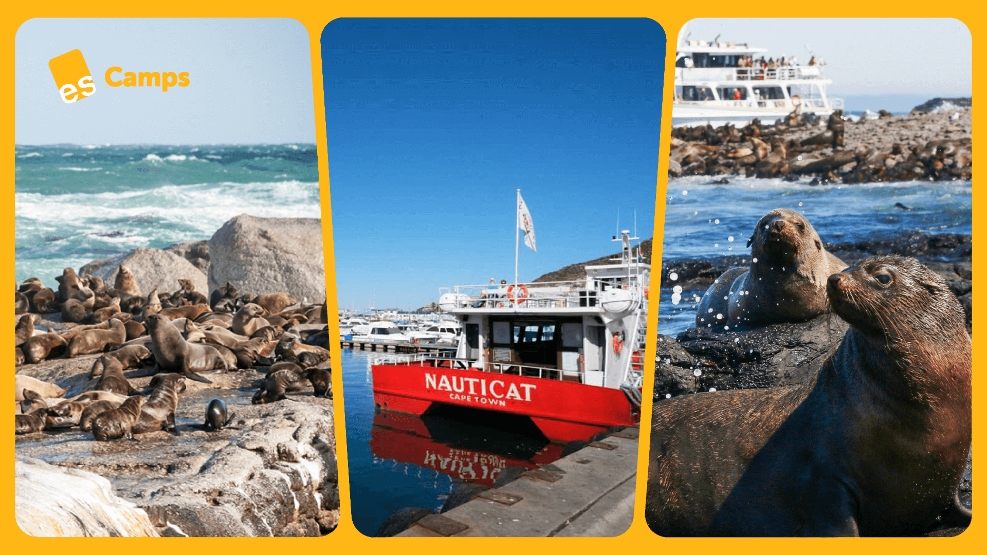 summer program for teens summer season