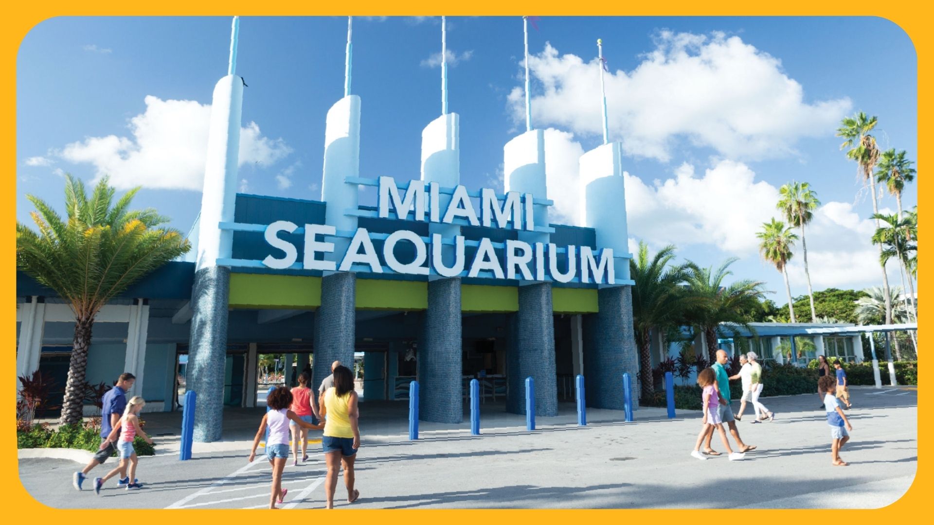 summer school summer school programs summer season vacation