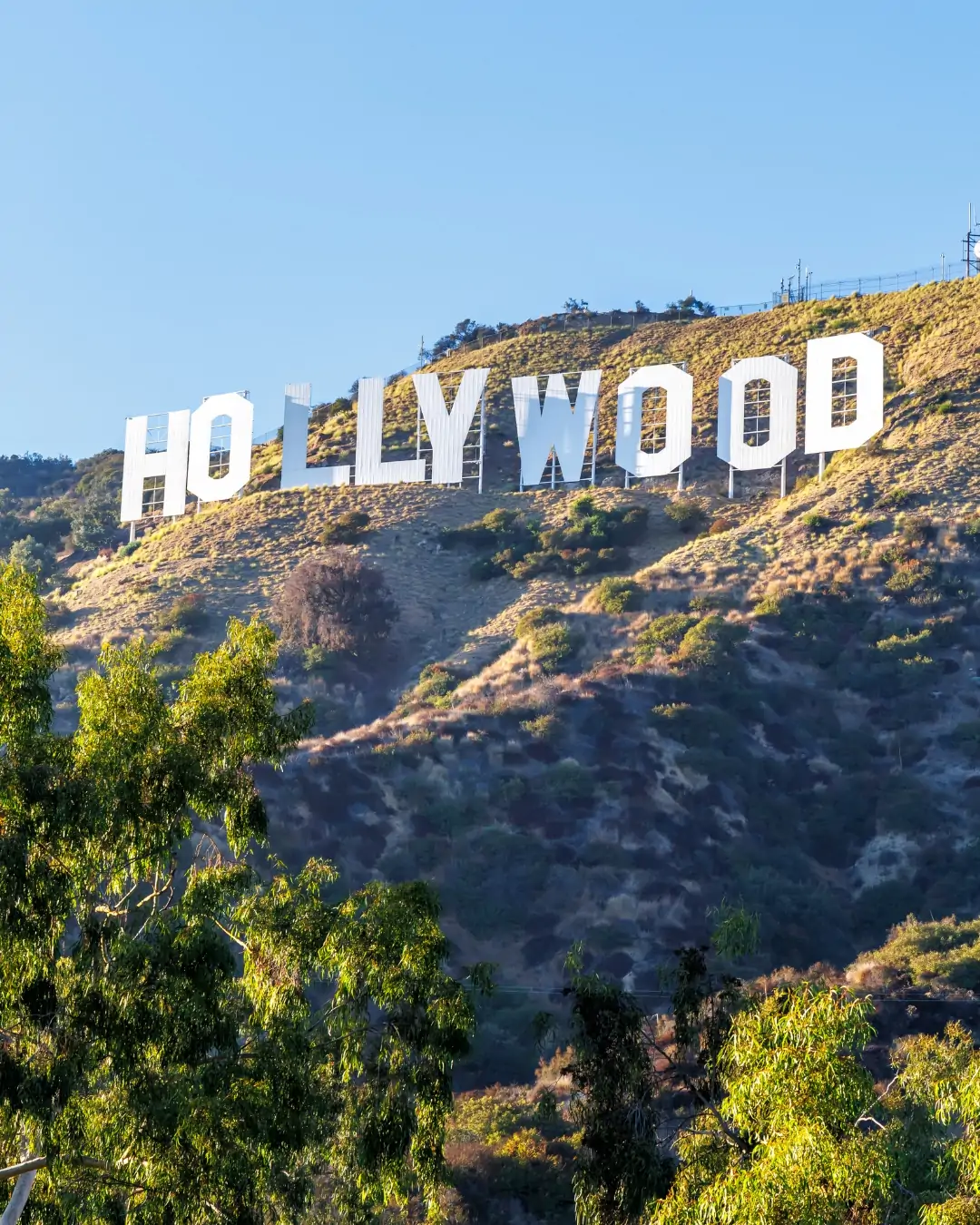 ES Camps-Los-Angeles.webp